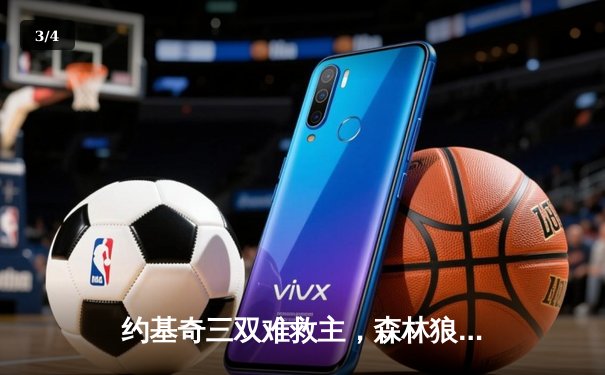 约基奇三双难救主，森林狼抢七胜掘金挺进西决 - 3