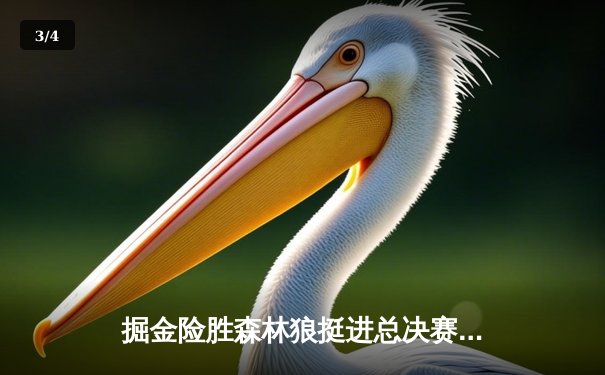 掘金险胜森林狼挺进总决赛，约基奇狂砍三双主宰抢七 - 3