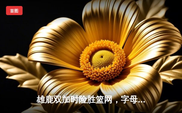 雄鹿双加时险胜篮网，字母哥狂砍44分率队逆转，欧文空砍39分难救主